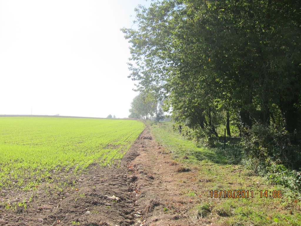 12/05/2011 – Ruelle des triges