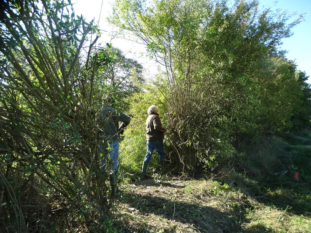 21/10/2018 – Sentier de l’Abbaye à Sart d’Avril