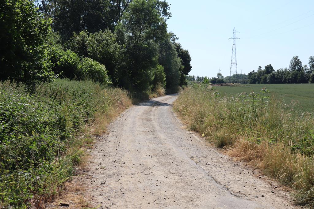 Juin 2023 – Bois du Tronquoy