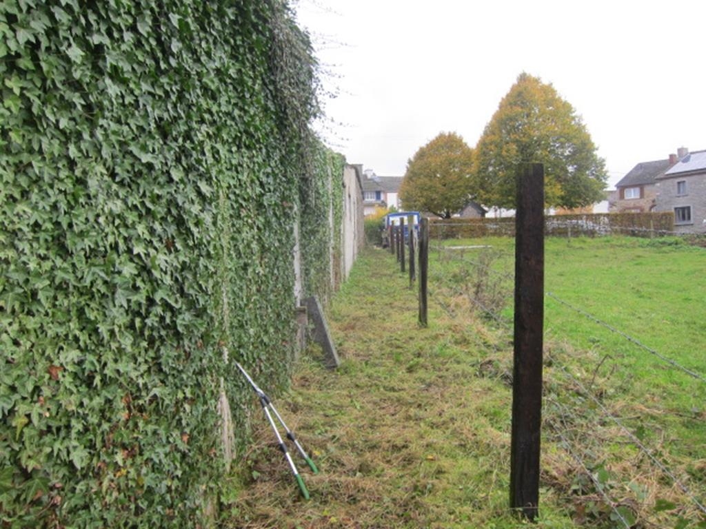 25/10/2015 – Sentier Capelle à Marchovelette