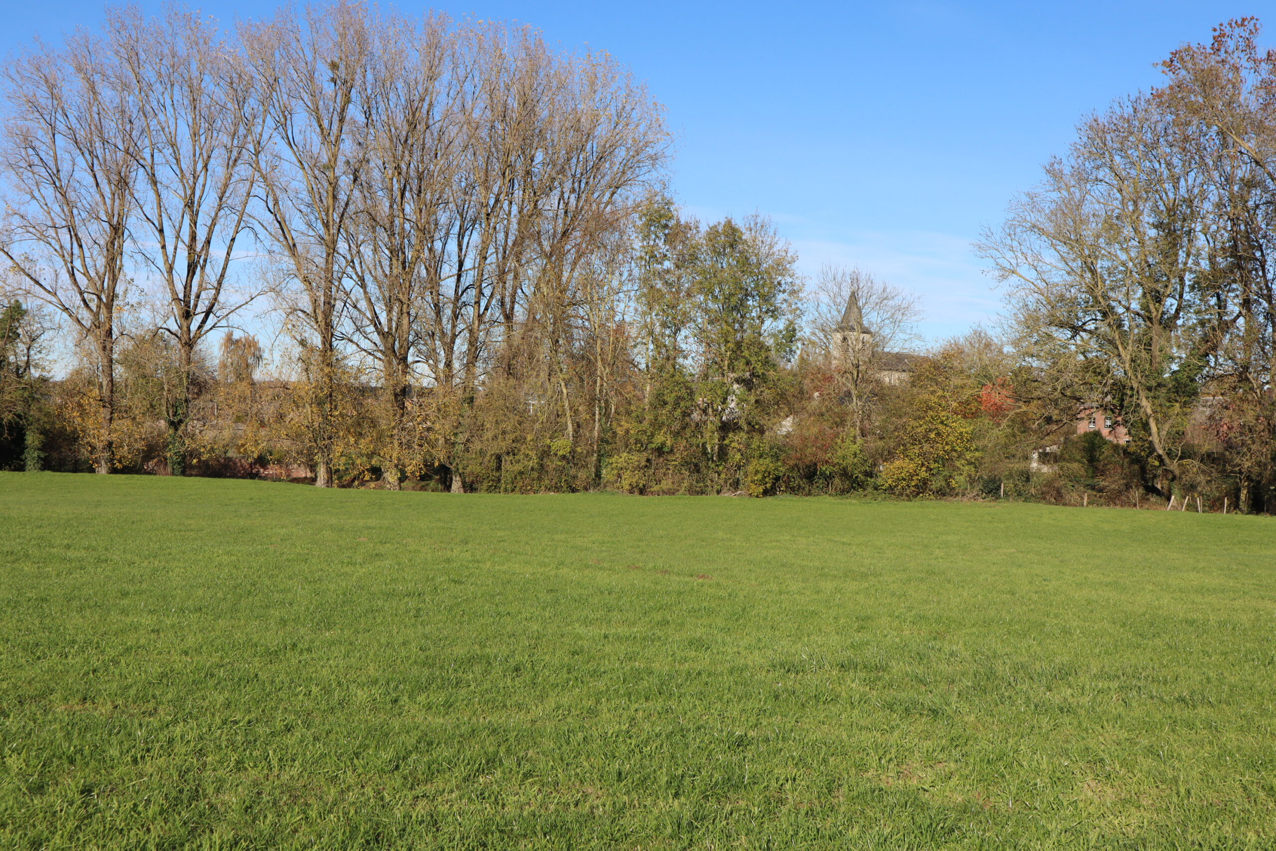 Novembre 2022 – Hingeon