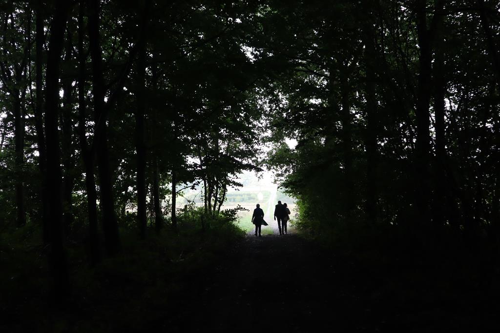 Septembre 2022 – Bois de Fernelmont