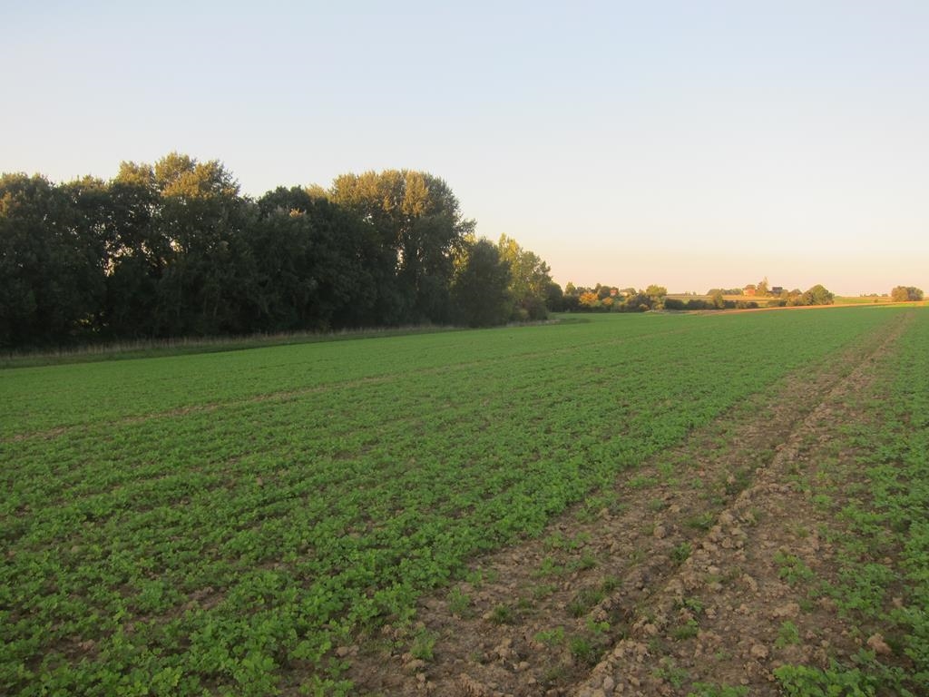 19/10/2014 – Bugin – Sentier des Dames à Tillier