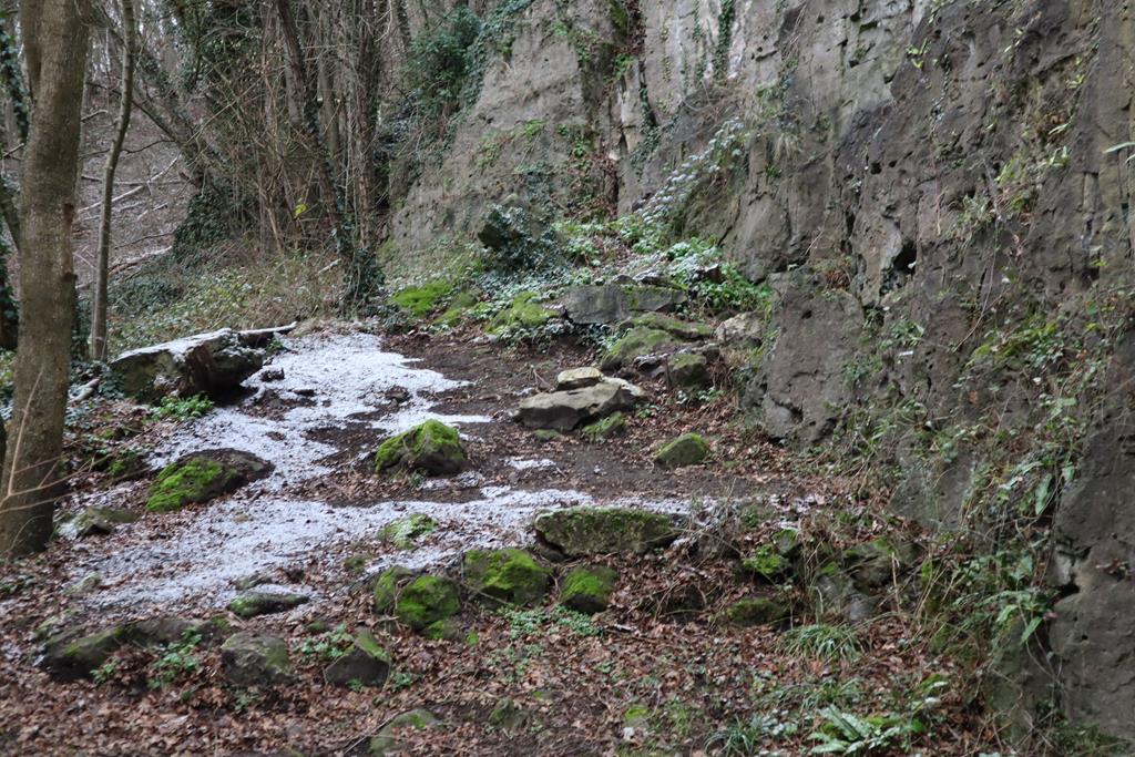 Janvier 2024 – Boninne