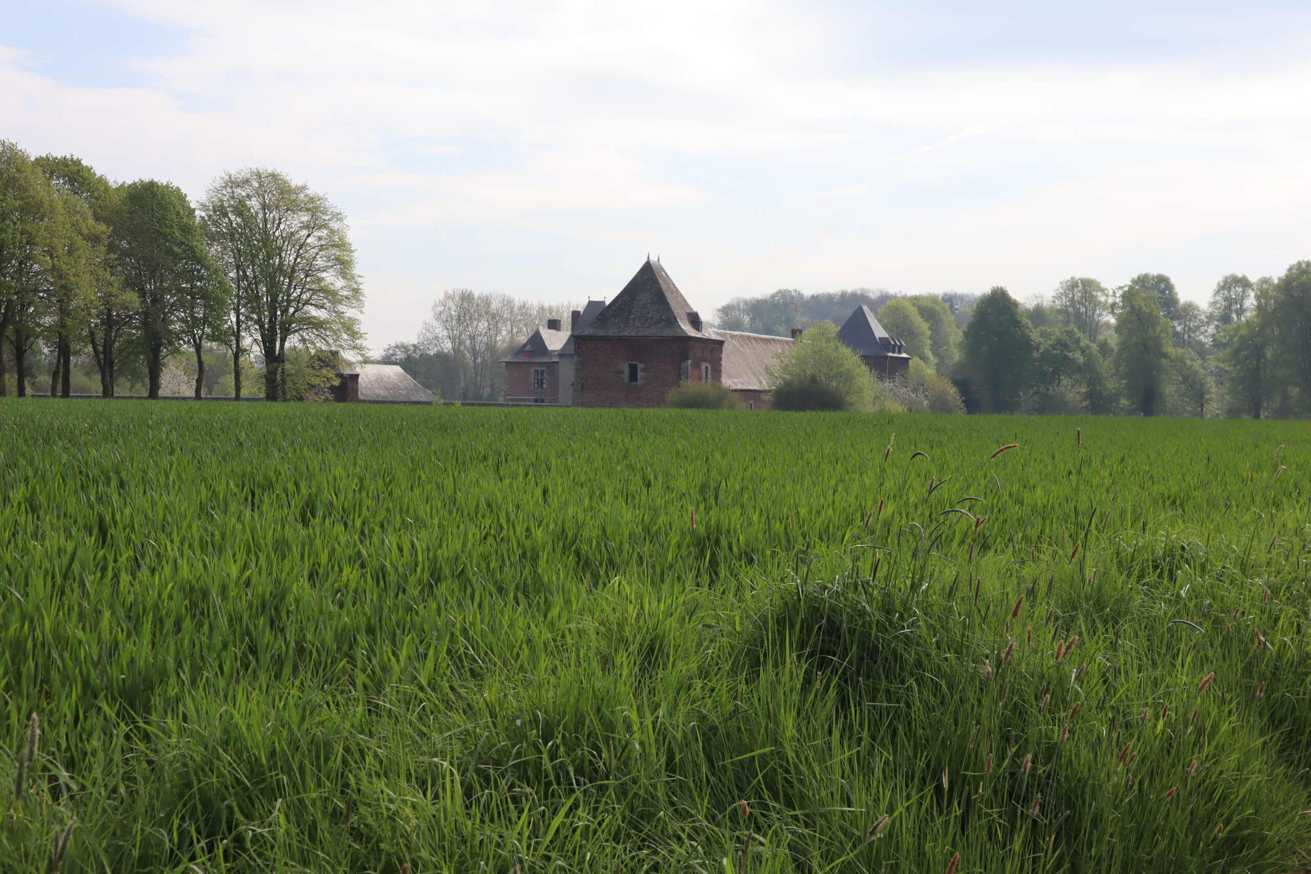 Avril 2025 – Noville-les-Bois